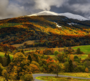 The Bieszczady Mountains: Poland’s Best-Kept Secret for Nature and Solitude